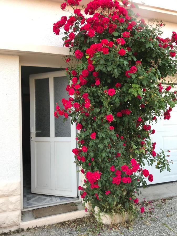 Joli Studio Au Coeur De Verdun Εξωτερικό φωτογραφία